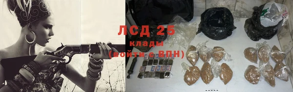 СК Новокубанск