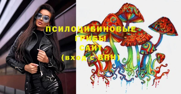 СК Новокубанск