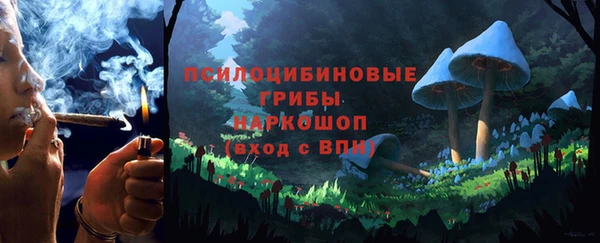 СК Новокубанск